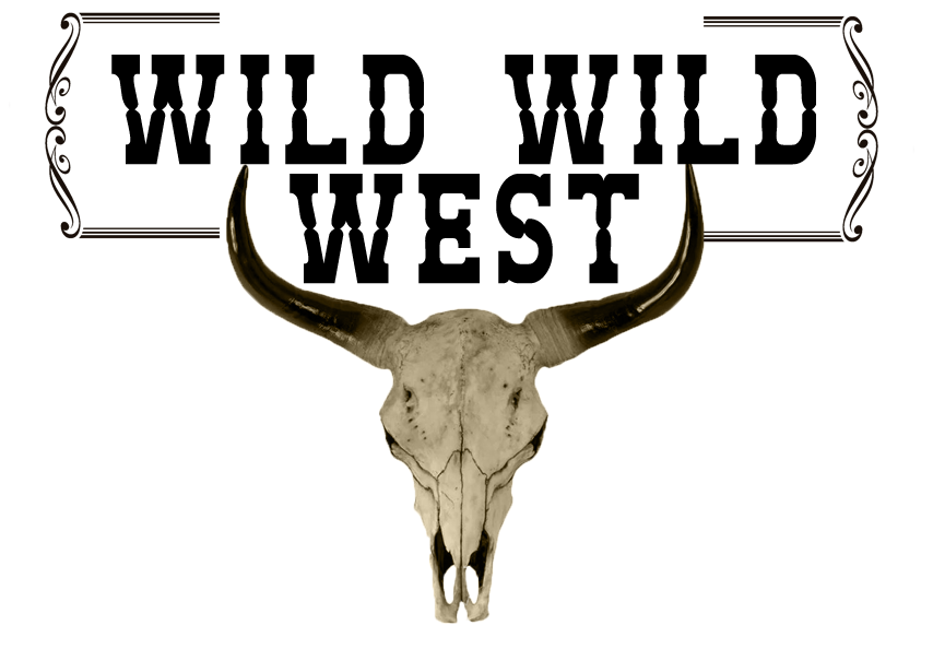 Wild Wild West Stein | Wellington Health Professional Students' Association